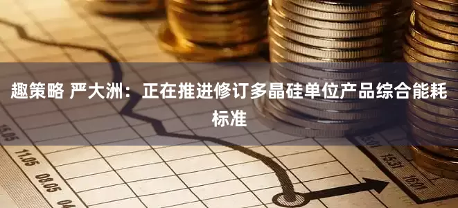 趣策略 严大洲：正在推进修订多晶硅单位产品综合能耗标准