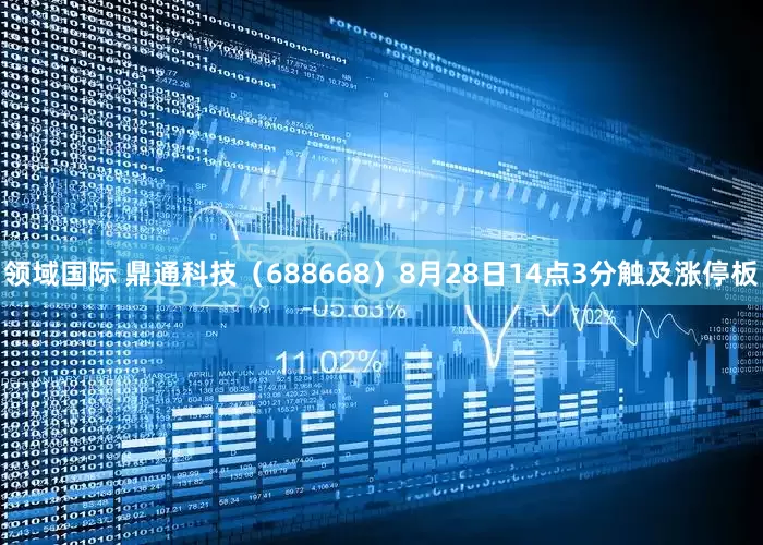 领域国际 鼎通科技（688668）8月28日14点3分触及涨停板