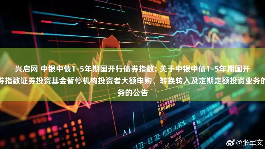 兴启网 中银中债1-5年期国开行债券指数: 关于中银中债1-5年期国开行债券指数证券投资基金暂停机构投资者大额申购、转换转入及定期定额投资业务的公告